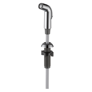 Delta — Delta Other: Side Spray & Hose Assembly